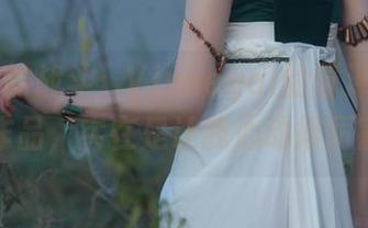 全套爱的战斗：Vinnegal的蕾泽女仆II作品，实在是让我心动得厉害