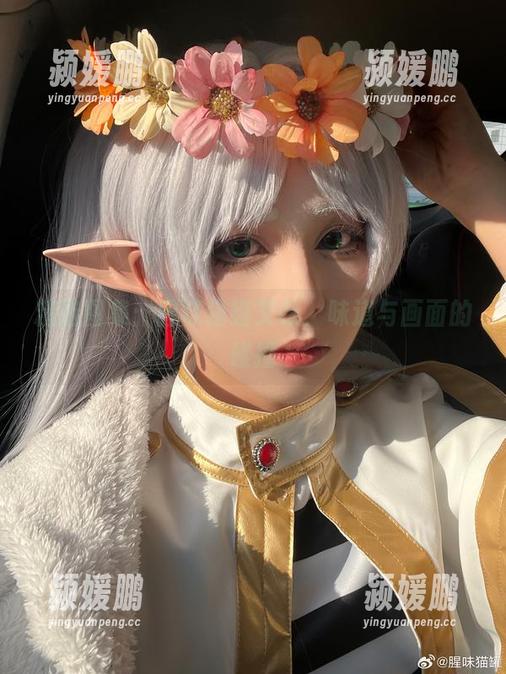 精选图集：腥味猫罐艾咪，味道与画面的碰撞